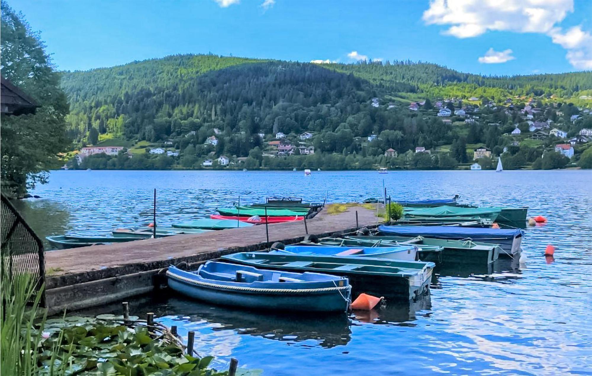 Gorgeous Apartment In Gerardmer With Kitchen Εξωτερικό φωτογραφία