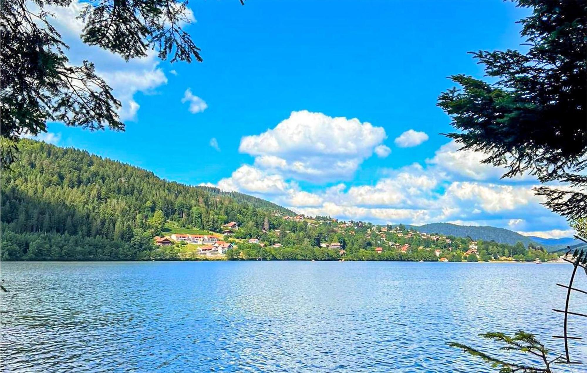 Gorgeous Apartment In Gerardmer With Kitchen Εξωτερικό φωτογραφία
